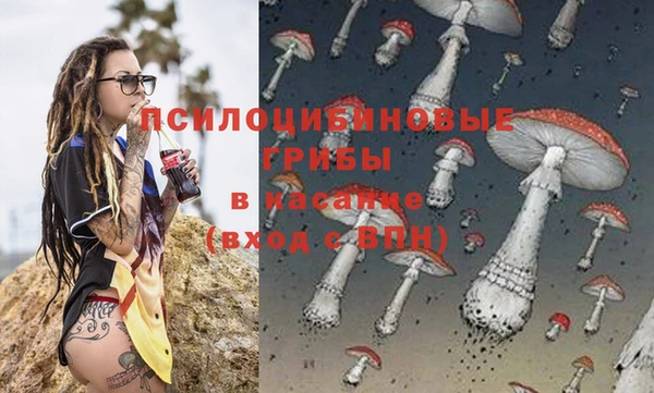 СК Алексеевка