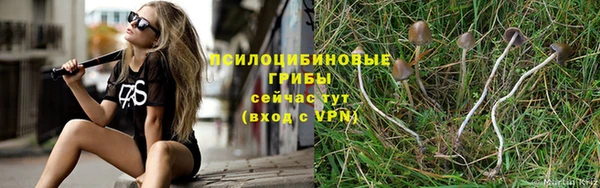 СК Алексеевка
