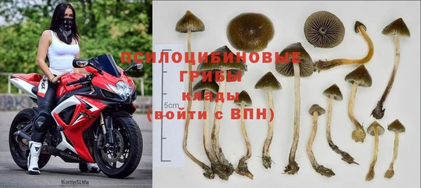 мескалин Алексин