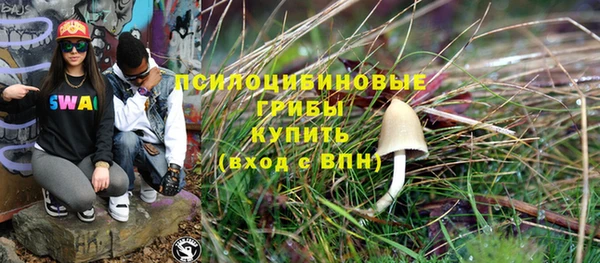 мяу мяу мука Алзамай