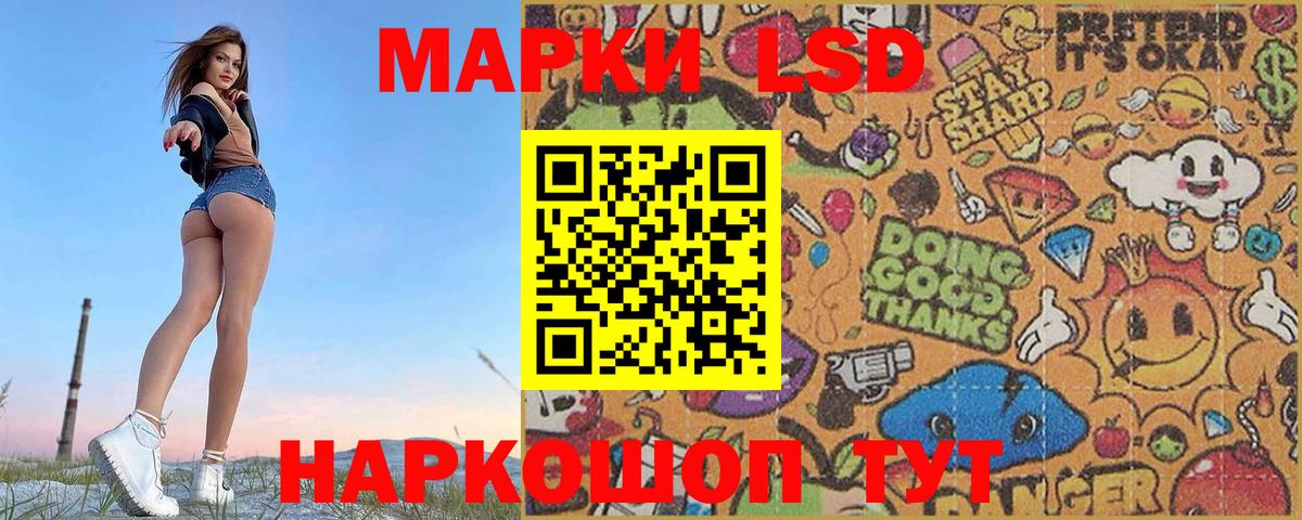 Новозыбков  Лсд 25 экстази кислота  Вход с VPN  Лсд 25 экстази ecstasy 