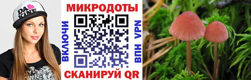Псилоцибиновые грибы Cubensis  Новозыбков 