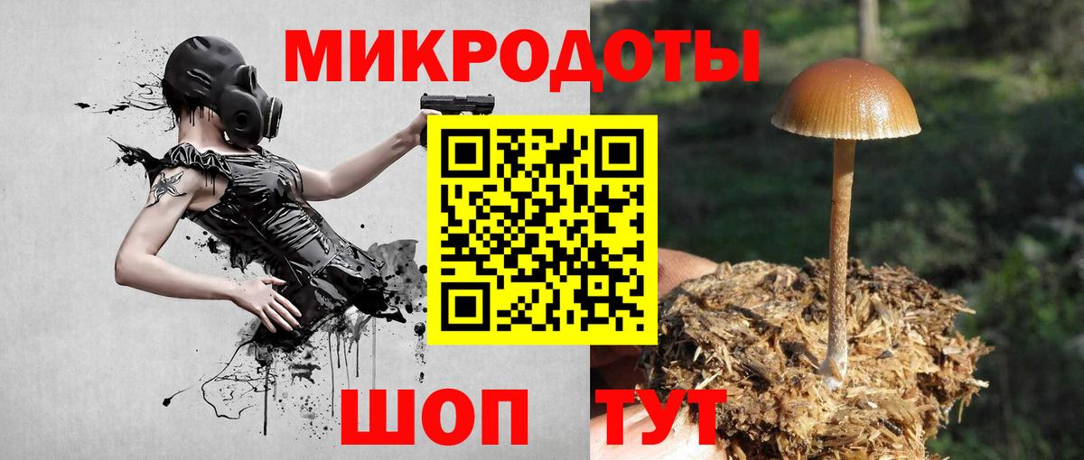 Новозыбков  Галлюциногенные грибы Psilocybine cubensis  Вход с VPN 