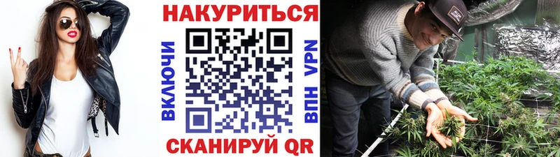 Бошки марихуана OG Kush  Новозыбков 